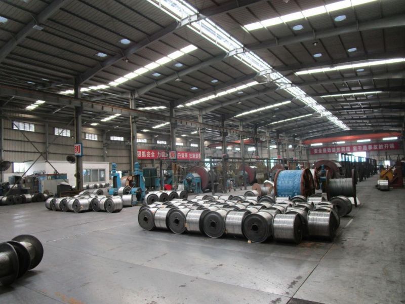 as/Nz5000.2 450/750V Phase Core and Earth Core Twin and Earth Copper Conductor PVC Insulated Cables