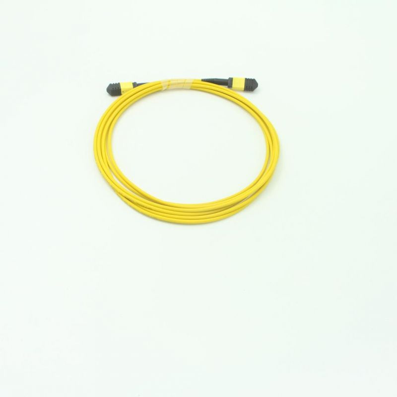 MPO Fiber Optic Patch Cord
