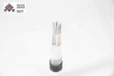 Seanro Best Price 2.5mm 4mm 6mm 10mm 16mm 25mm 35mm DC Solar Power Cablexlpe Insulation &middot; XLPE Jacket