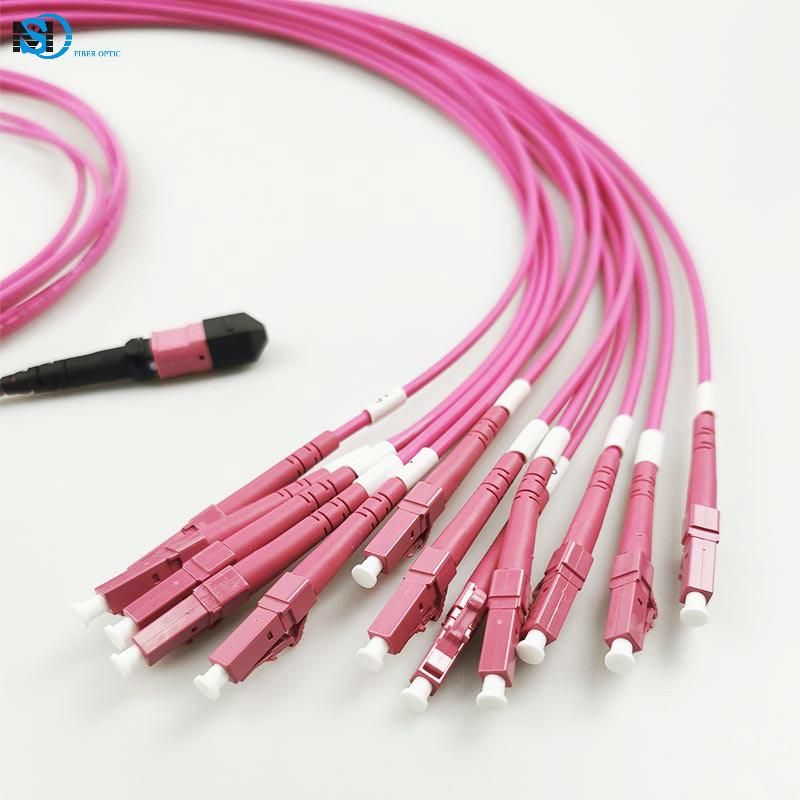 Fiber Optic Patch Cord MPO MTP Male Female to LC Upc 12c 12 Core Om4 Single Mode Sm PVC LSZH 0.9mm 2.0mm 3.0mm