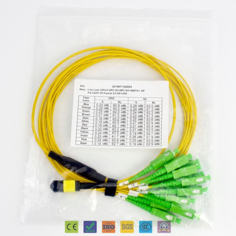 12/24/48/96/144cores LC/Sc/St/FC MPO/MTP Trunk Cable Jumper Fiber Optic Patchcord