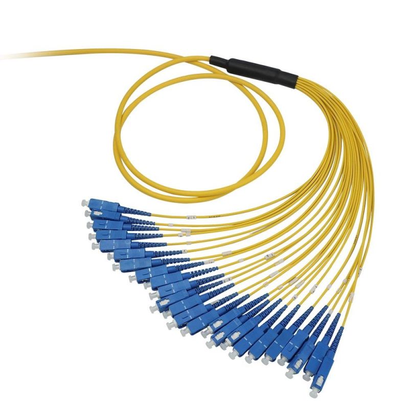 Fiber Optic Fanout LC-Sc G652D 24 Cores 10 Meters with Metal Fanout Kit