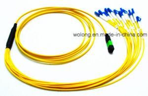Competitive MTP/MPO-LC Fiber Optic Patch Cord