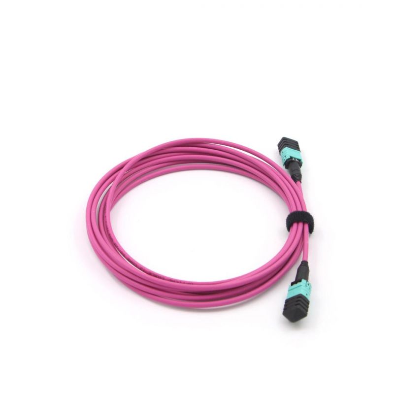 12f MPO MTP Patch Cord 10m