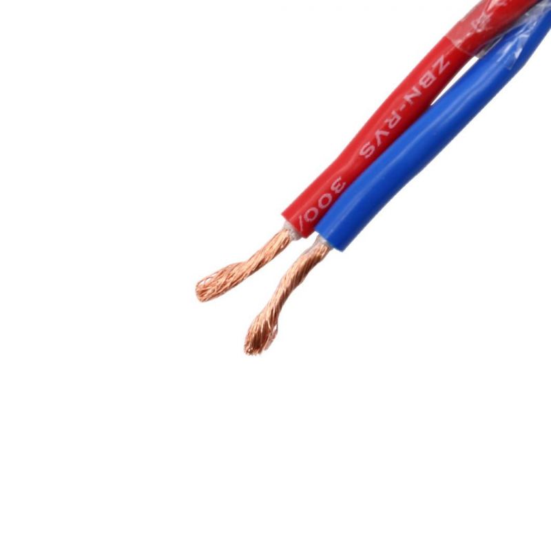 450/750V Cu/PVC/PVC Wire & Cable