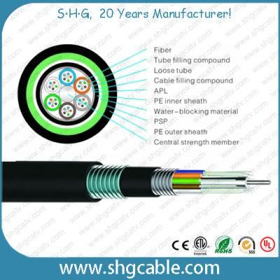 Outdoor Multi Loose Tube Layer Stranded Fiber Optic Cable (GYTA53)