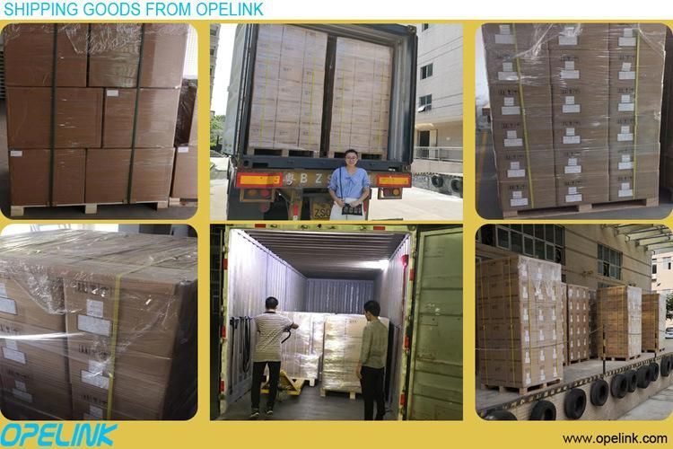 12fibers MPO/APC-LC/APC Fanout Fiber Jumper