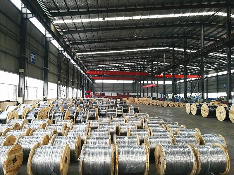 ASTM/BS/CSA Standard All Aluminium Conductor Aluminium Stranded Wire AAC