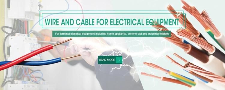 Factory Supply 300/300V Flexible 0.75mm Electrical Wire Rvv Cable