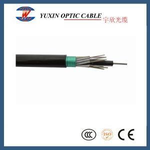 GYTS Multi-Loose Tube Corrugated Steel Tape Armored Cst 48 Core 96 Core Fiber Optic Cable
