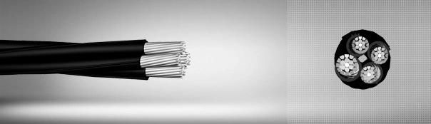 0.6/1kv X00-a XLPE Insulated Aerial Power Cables with Aluminium Conductor