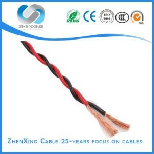 Rvs Twisted Flexible Copper Electric Wire