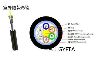 Strength Member with Single Fiber Reinforced Plastic Cable Gyfta