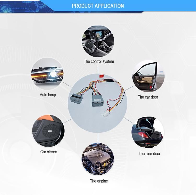 Wire Harness /Automotive Wire Harness/Cable Harness