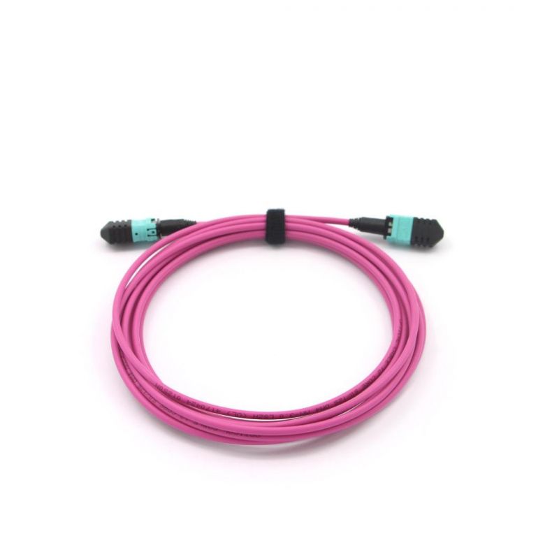 MPO (Female) -MPO (Female) Fiber Optical Patch Cord with Om5 Fiber Cable 10 Meter