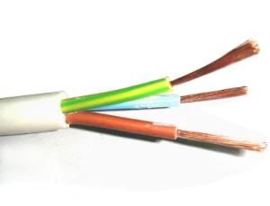 Electrical Cables and Wires (RVV)