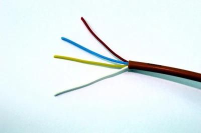 Tinned Copper Conductor 450V Multi Core Silicone Rubber Cable Dw24