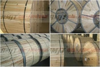 Chinese Golden Supplier AAC, AAAC, ACSR Bare Conductor