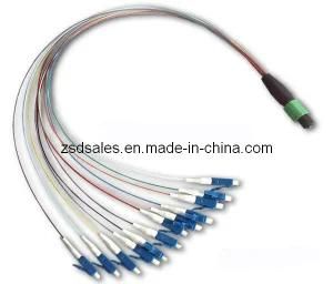 MPO LC Fiber Optic Patch Cord (MPO/PC-LC/PC-SM)