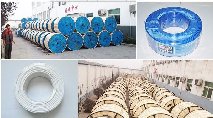 Korea 513X0.2mm2 Rubber Insulated Copper Welding Cable Suppliers