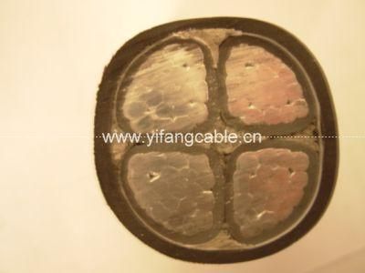 450V, 600V PVC Insulated Cable