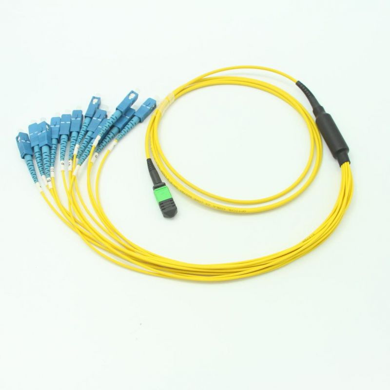 MPO (F) - Sc OS2 12 Core Fiber Optic Fanouts Assemblies