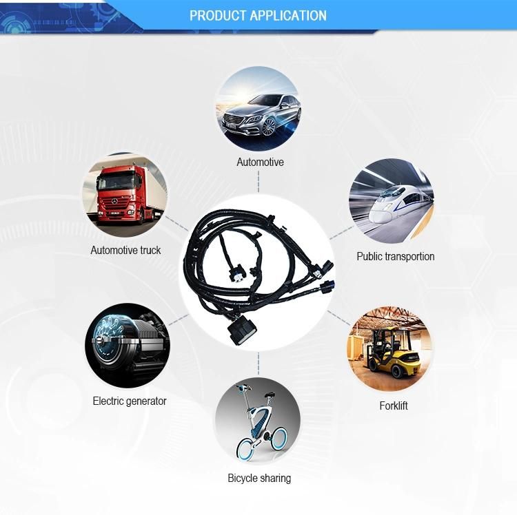 Auto Cable Assembly Wire Harness Wiring Assembly Wiring Looms