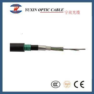 Om3 Om4 G652 G655 Outdoor Direct Buried Armored Fiber Optic Cable GYTA53