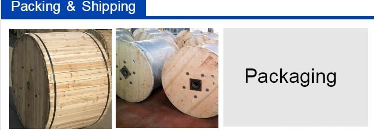 1-10kv Triplex/ Duplex ABC Cable