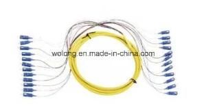 24 Core SC/PC Fiber Optic Pigtail