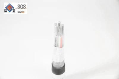 High Quality Flexible 300mm Single Core 3 Core 5 Core PVC/XLPE Insulation Copper Power Cablesample Available
