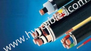 CE Certified Mv Power Cable 20kv (22KV)