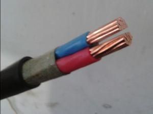 0.6/1kv XLPE Insulted Copper Conductor Power Cables (YJV 2*35mm2)