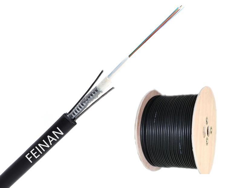 Outdoor Drop Cable GYXTW G652D Rmoured Fiber Optic Cable with Good Quality