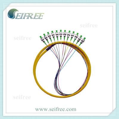 12 Cores Fanout Single Mode Fiber Optic Patch Cable