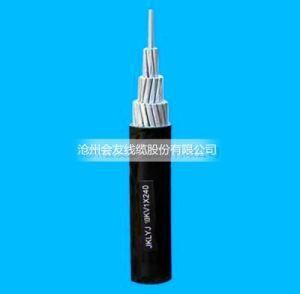 Al Core XLPE Insulated 10kv Medium Voltage Power Cable 1*240mm2 Overhead Power Cable at Cangzhou Huiyou Factory Power Cable