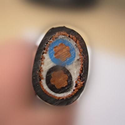 600V Cu Concentric Cable Se Type Cable