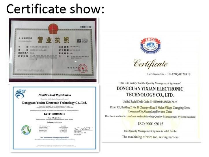 IATF16949 Certificated Low Voltage Cable Assembly for Automotive Medical and Electronic Device