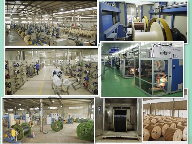 Manufacturing Indoor or Outdoor Drop Cable FTTH Fiber Optical Cable