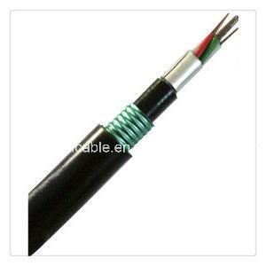 Outdoor Non-Metallic Strength Member Armored Bury Fiber Optc Cable (GYFTA53)