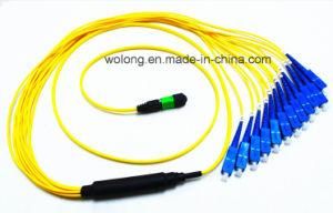 MTP/MPO-Sc Singlemode Fiber Optic Patch-Cord