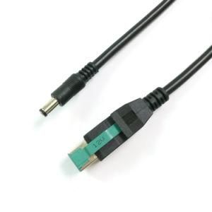 12V Powered USB Male to DC5.5*2.1 Cable