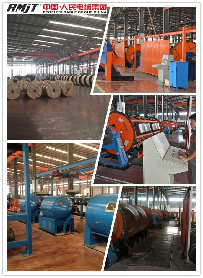 Electric Wire Overhead Aluminum Conductor AAC with ISO Certificate