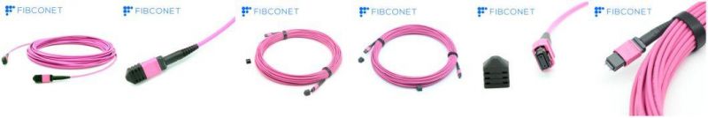 12/24f Om4 3.0mm MPO Connector Multimode MPO Patch Cord