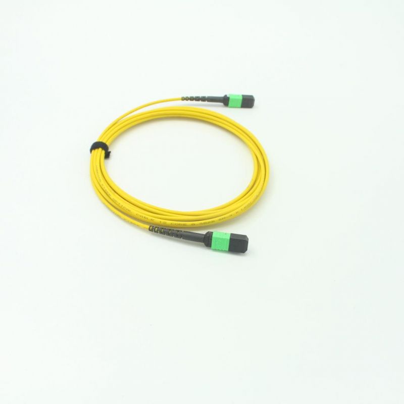 MPO Fiber Optic Patch Cord