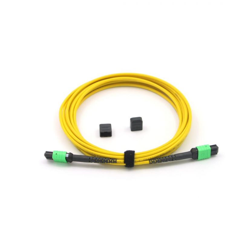 MPO-MPO Female 12 Core Mini Round Patch Cord