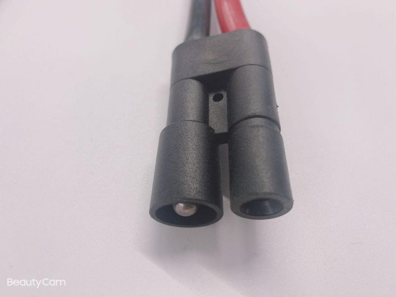 OEM Custom Power Charge Cable Wire Harness for Automotive Parts