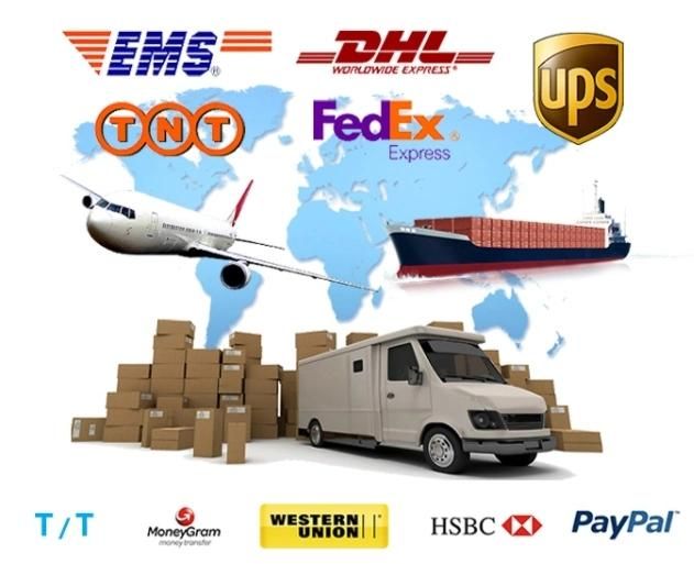 Packaging Machine Equipments Wiring Harness Assembly