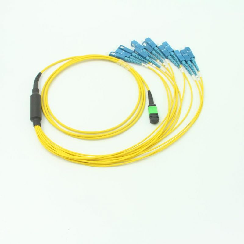 MPO (F) - Sc OS2 12 Core Fiber Optic Fanouts Assemblies