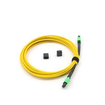 MPO-MPO Female Fiber Optic Terminal (12 core 8m)